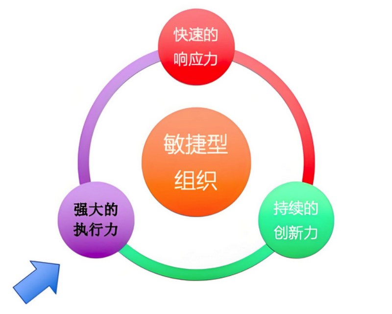 敏捷型组织核心
