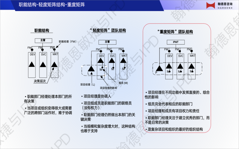 IPD团队