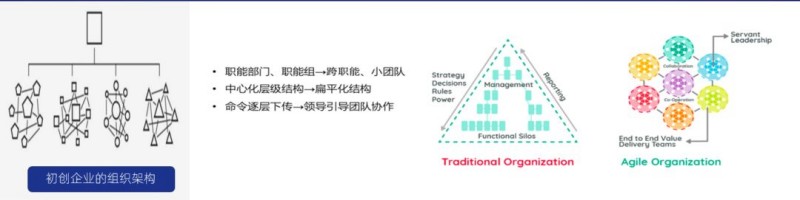 Team of Teams 赋能