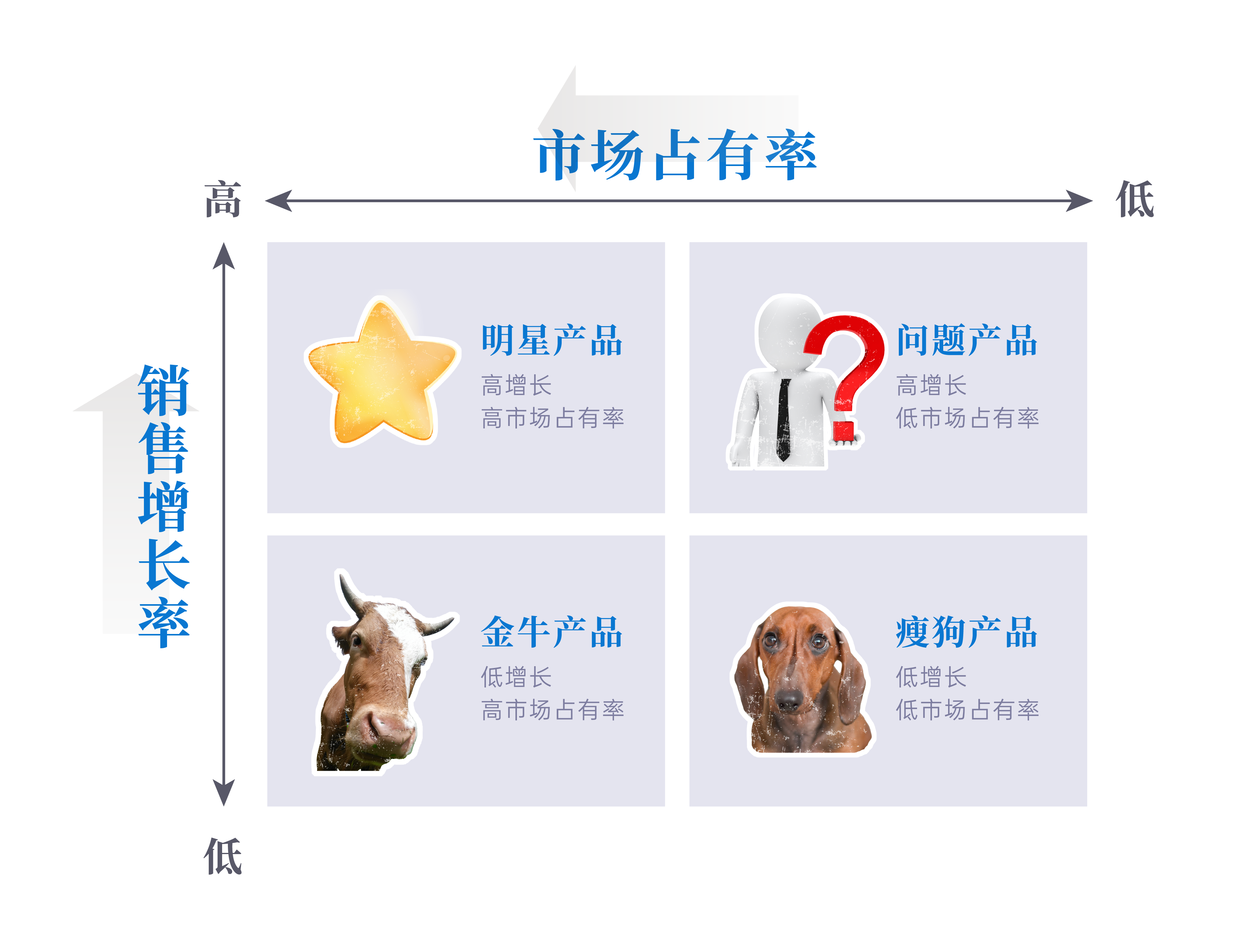 小團隊 IPD 波士頓矩陣